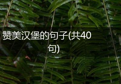 赞美汉堡的句子(共40句)