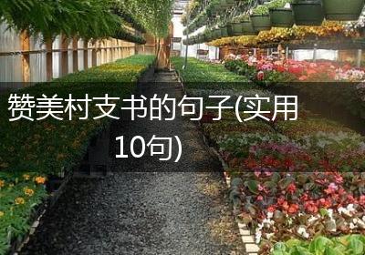赞美村支书的句子(实用10句)