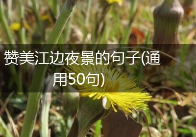 赞美江边夜景的句子(通用50句)