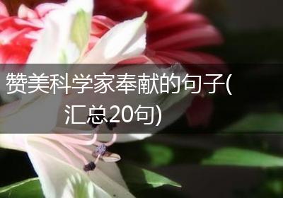 赞美科学家奉献的句子(汇总20句)
