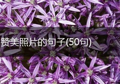 赞美照片的句子(50句)