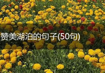 赞美湖泊的句子(50句)