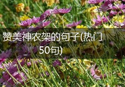 赞美神农架的句子(热门50句)