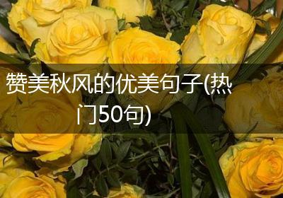赞美秋风的优美句子(热门50句)