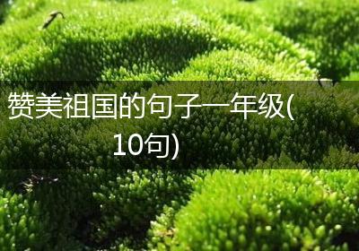 赞美祖国的句子一年级(10句)