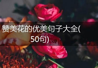 赞美花的优美句子大全(50句)