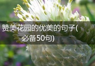赞美花园的优美的句子(必备50句)
