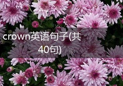 crown英语句子(共40句)