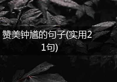 赞美钟馗的句子(实用21句)