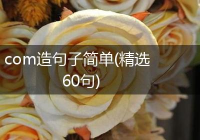 com造句子简单(精选60句)
