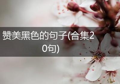 赞美黑色的句子(合集20句)