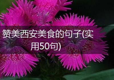 赞美西安美食的句子(实用50句)