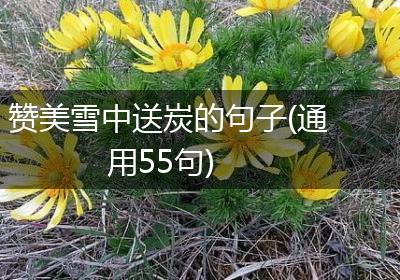 赞美雪中送炭的句子(通用55句)