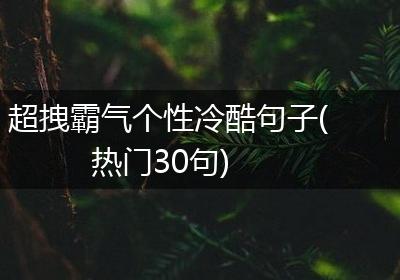 超拽霸气个性冷酷句子(热门30句)