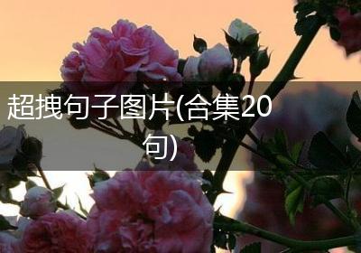 超拽句子图片(合集20句)
