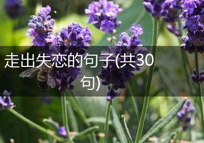走出失恋的句子(共30句)