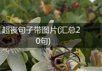 超丧句子带图片(汇总20句)