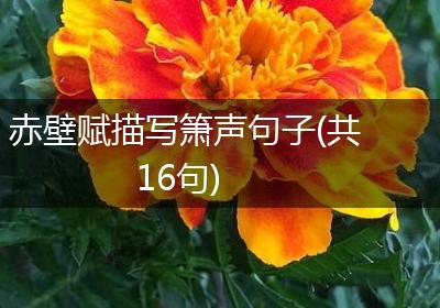 赤壁赋描写箫声句子(共16句)