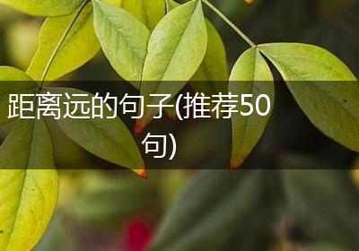 距离远的句子(推荐50句)