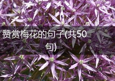 赞赏梅花的句子(共50句)