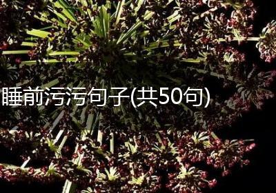睡前污污句子(共50句)