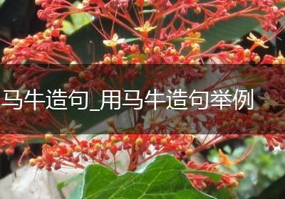 马牛造句_用马牛造句举例