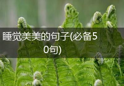 睡觉美美的句子(必备50句)