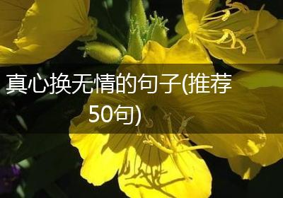 真心换无情的句子(推荐50句)