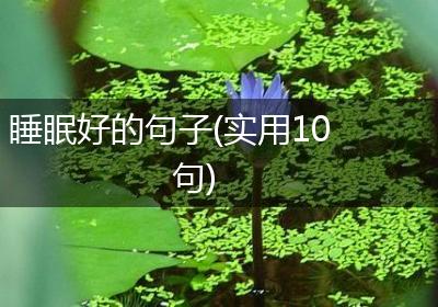 睡眠好的句子(实用10句)
