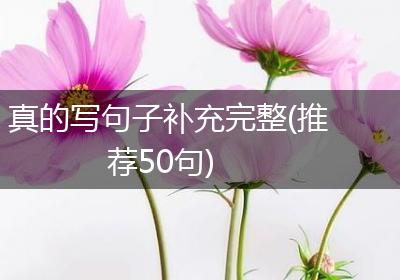 真的写句子补充完整(推荐50句)