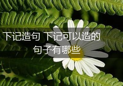 下记造句 下记可以造的句子有哪些