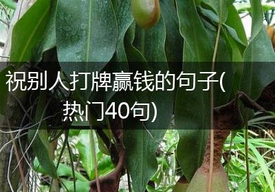 祝别人打牌赢钱的句子(热门40句)