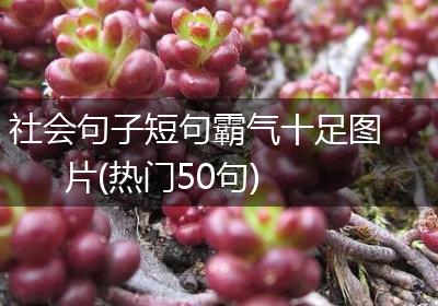 社会句子短句霸气十足图片(热门50句)