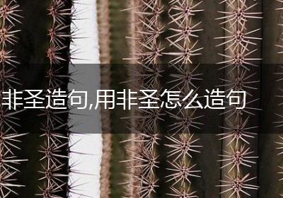 非圣造句,用非圣怎么造句