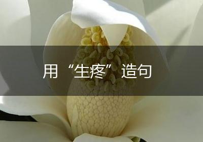 用“生疼”造句