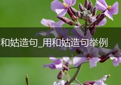 和姑造句_用和姑造句举例
