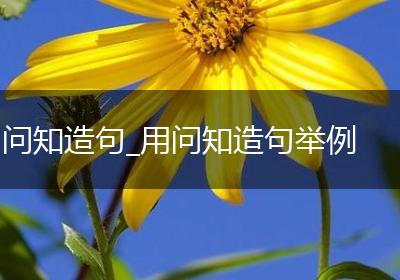 问知造句_用问知造句举例