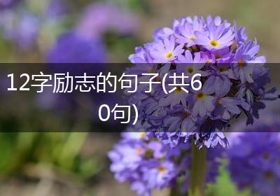 12字励志的句子(共60句)