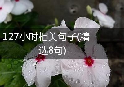 127小时相关句子(精选8句)