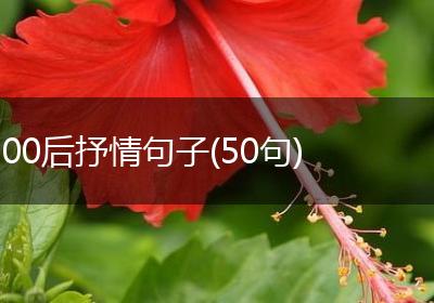 00后抒情句子(50句)