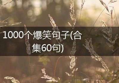 1000个爆笑句子(合集60句)