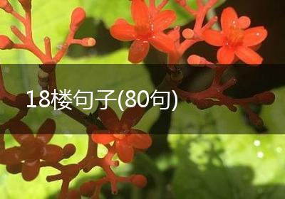 18楼句子(80句)