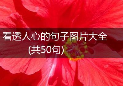 看透人心的句子图片大全(共50句)
