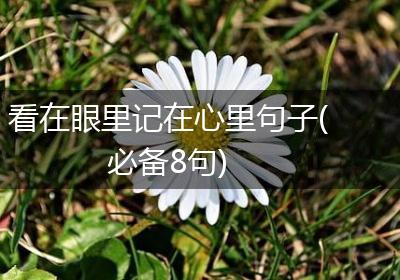 看在眼里记在心里句子(必备8句)