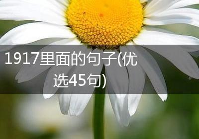 1917里面的句子(优选45句)