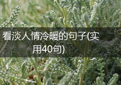 看淡人情冷暖的句子(实用40句)