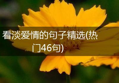 看淡爱情的句子精选(热门46句)
