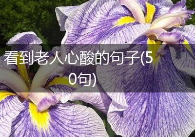 看到老人心酸的句子(50句)