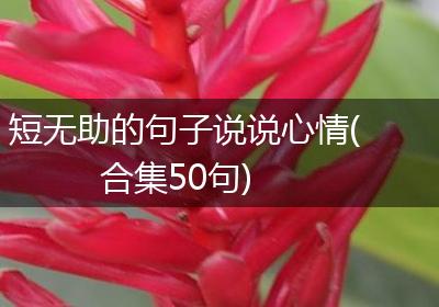 短无助的句子说说心情(合集50句)