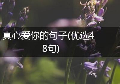真心爱你的句子(优选48句)